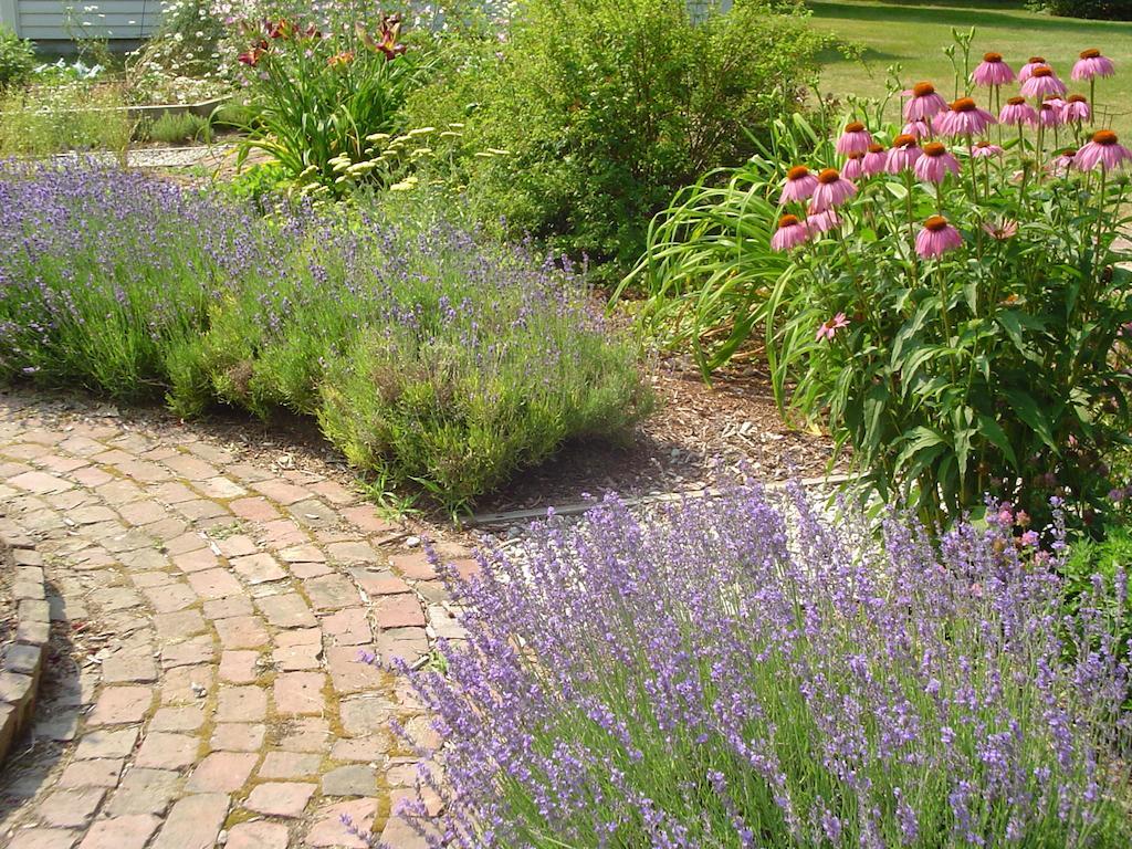 Stephen Clay Homestead Bed And Breakfast Candia 외부 사진